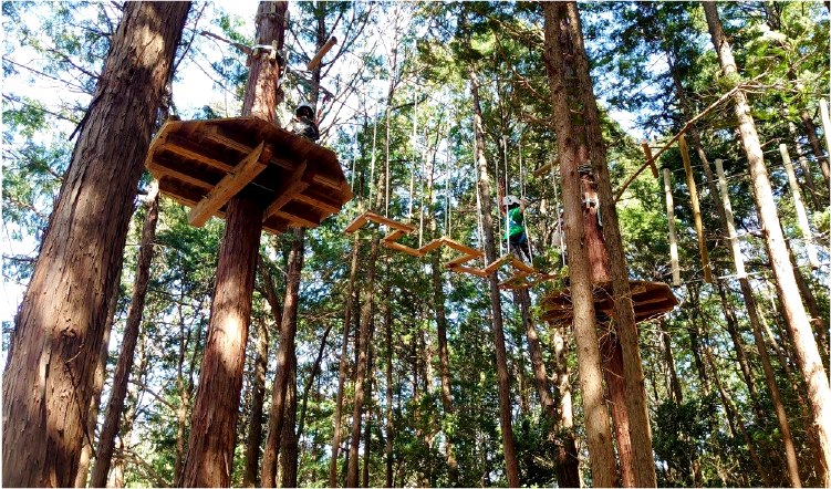 トライアルコース