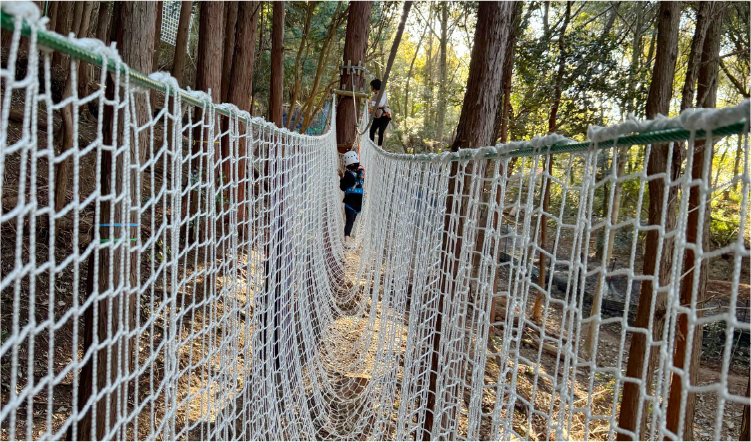 トライアルコース